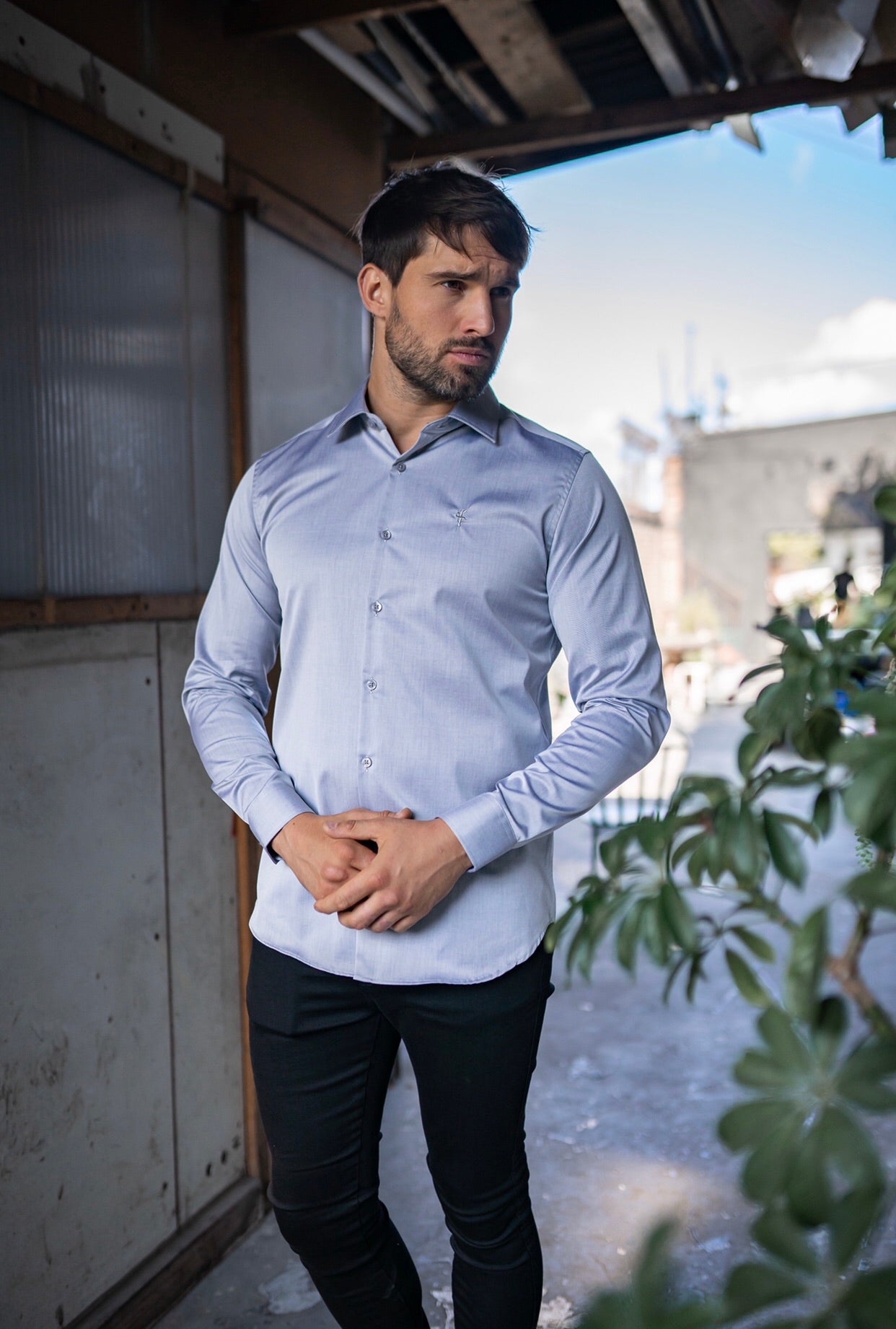 Classic Grey Cutaway Collar - FS602