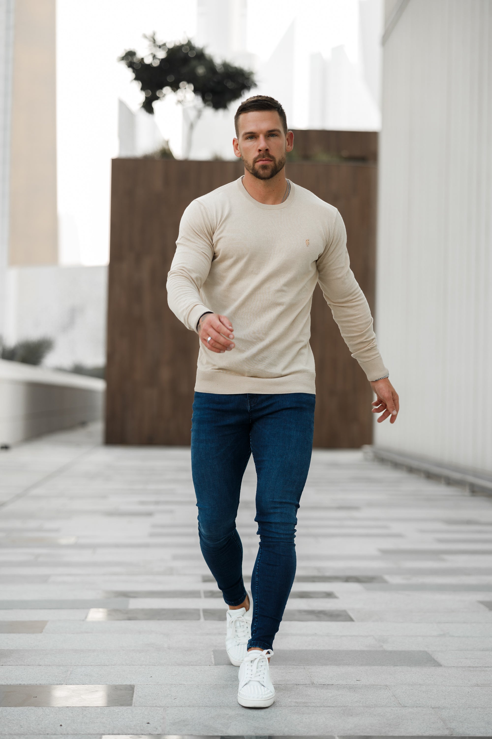 Classic Beige Light Weight Knitted Crew Neck with Gold Metal Decal - FSN093