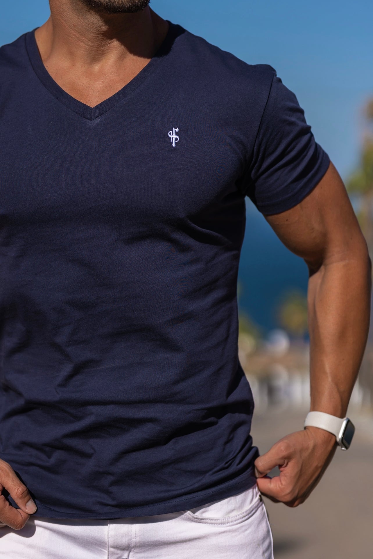 Classic Navy V Neck - FSH191