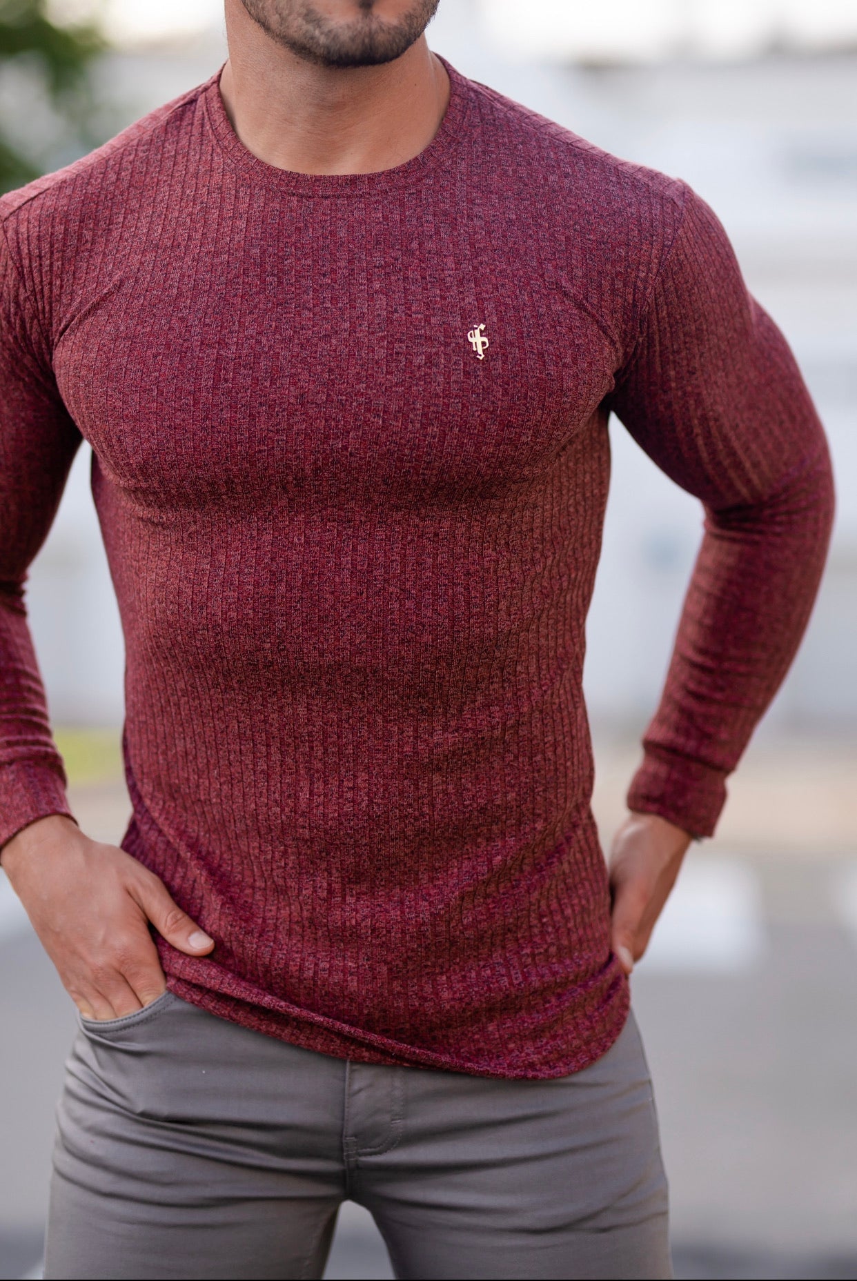 Classic Claret Ribbed Knit Jumper With Gold Metal Emblem - FSH538