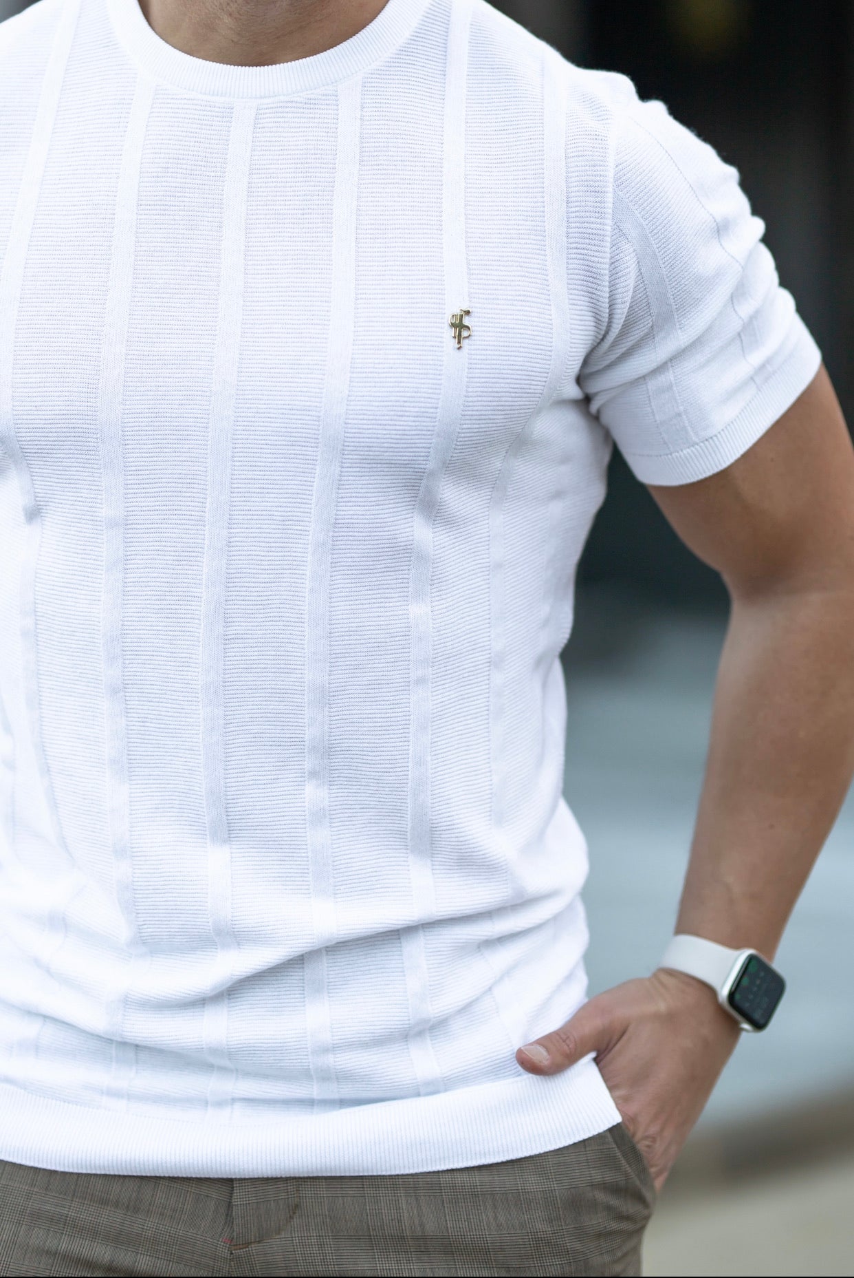 Classic Short Sleeve White Knitted Wide Rib Crew with Gold Emblem - FSH512