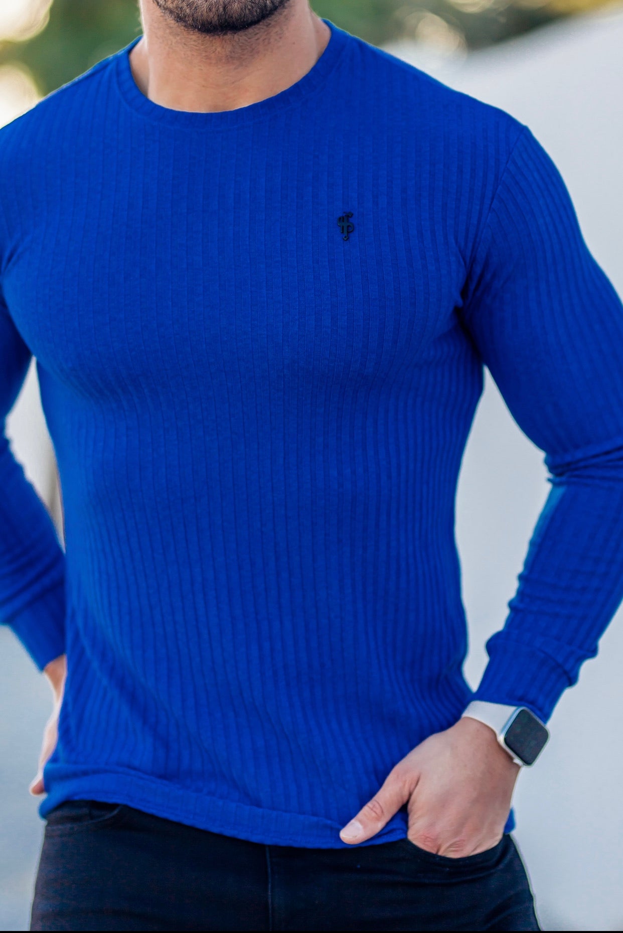 Classic Royal Blue Ribbed Knit Jumper With Black Metal Emblem - FSH596