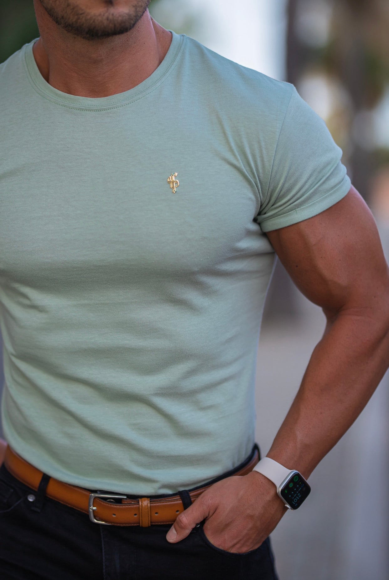Classic Sage Green Crew with Gold Metal Emblem Decal FSH503