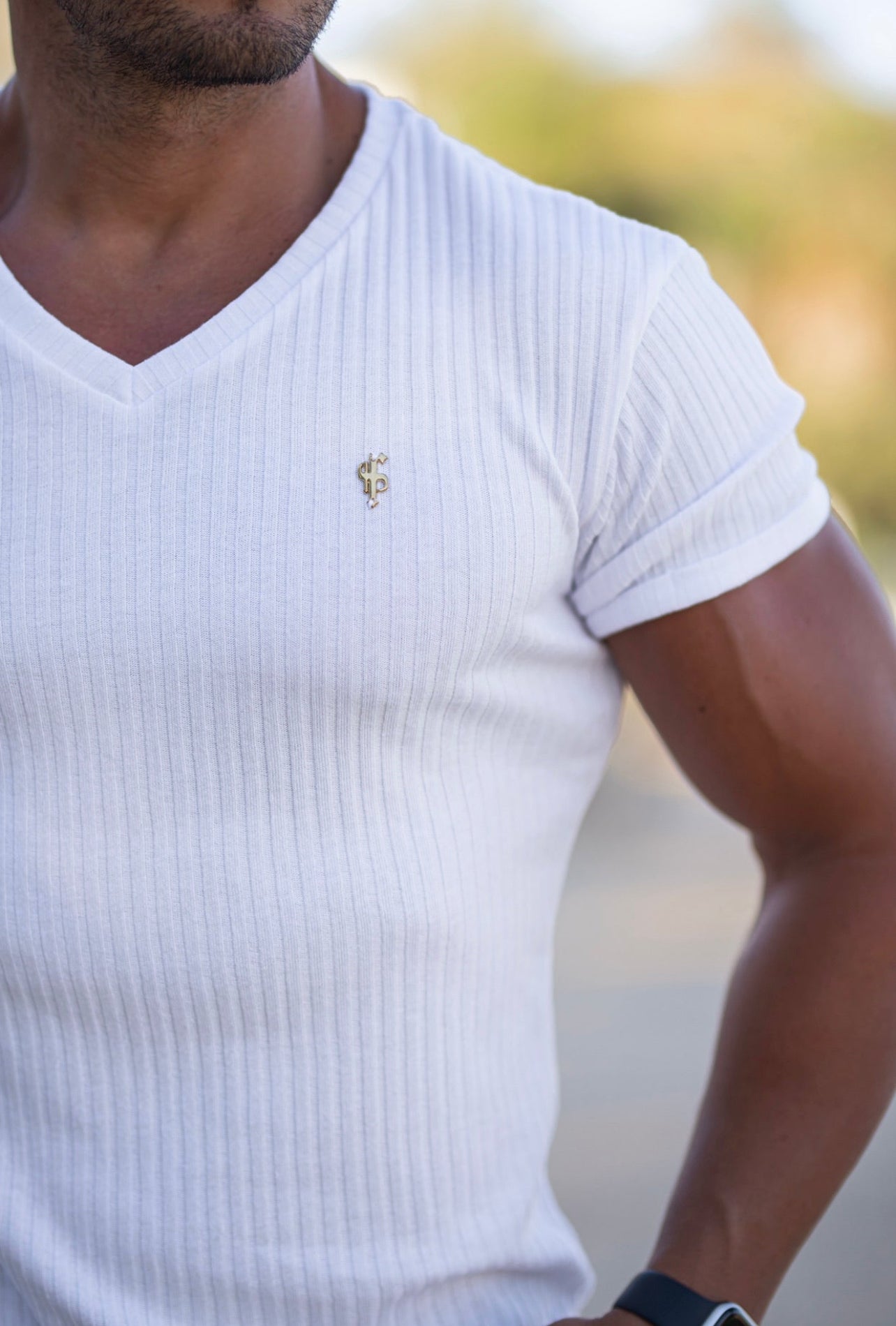 Classic White / Gold V Neck Ribbed Crew - FSH1125