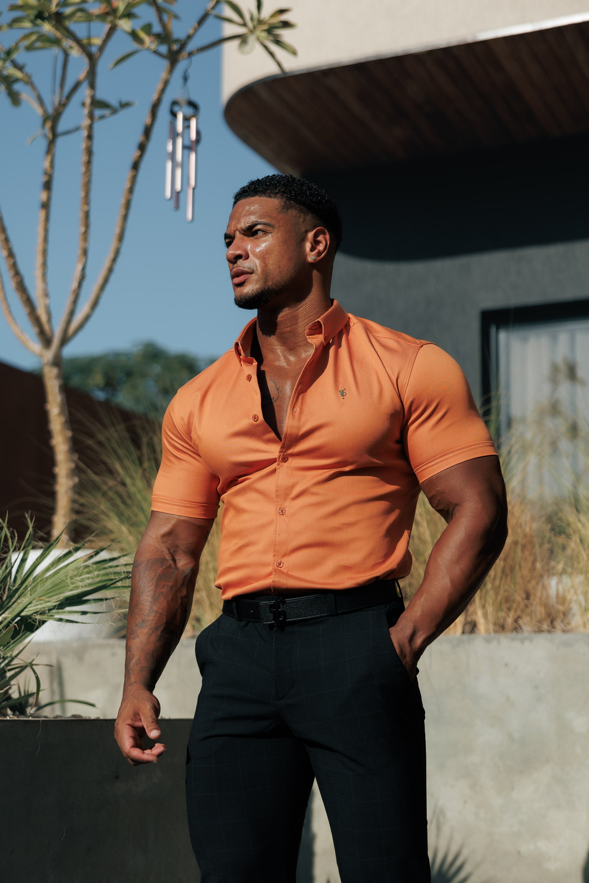 Super Slim Stretch Orange Denim Short Sleeve with Button Down Collar - FS1137