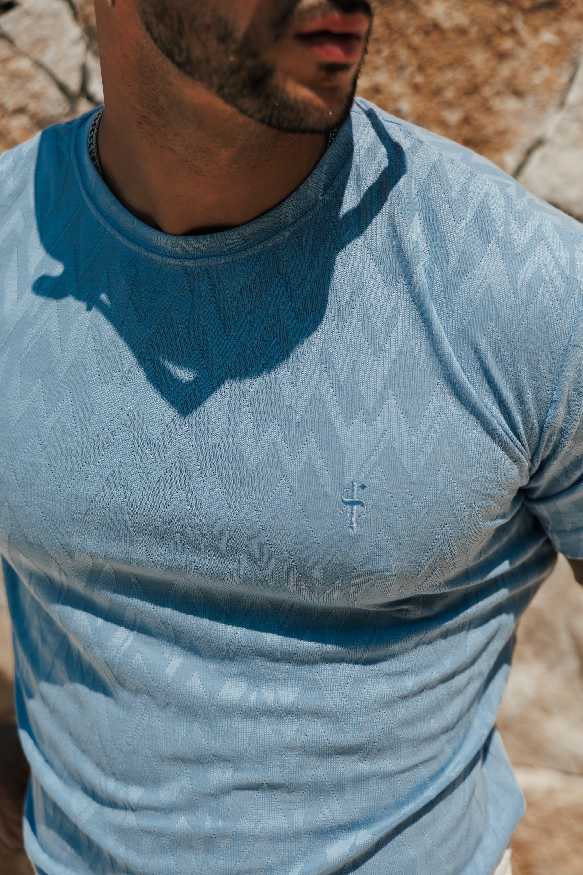 Regular Fit Jacquard Baby Blue Chevron T-Shirt - FSR064