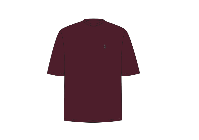 Classic Plum Oversized Crew T Shirt - FSH871