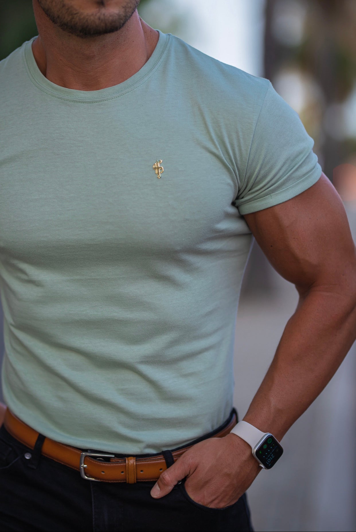 Classic Sage Green Crew with Gold Metal Emblem Decal FSH503