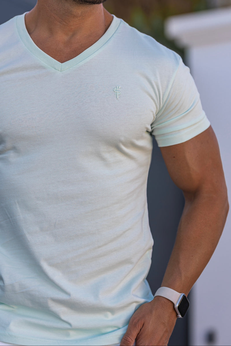 Father Sons Classic Mint V Neck -  FSH744