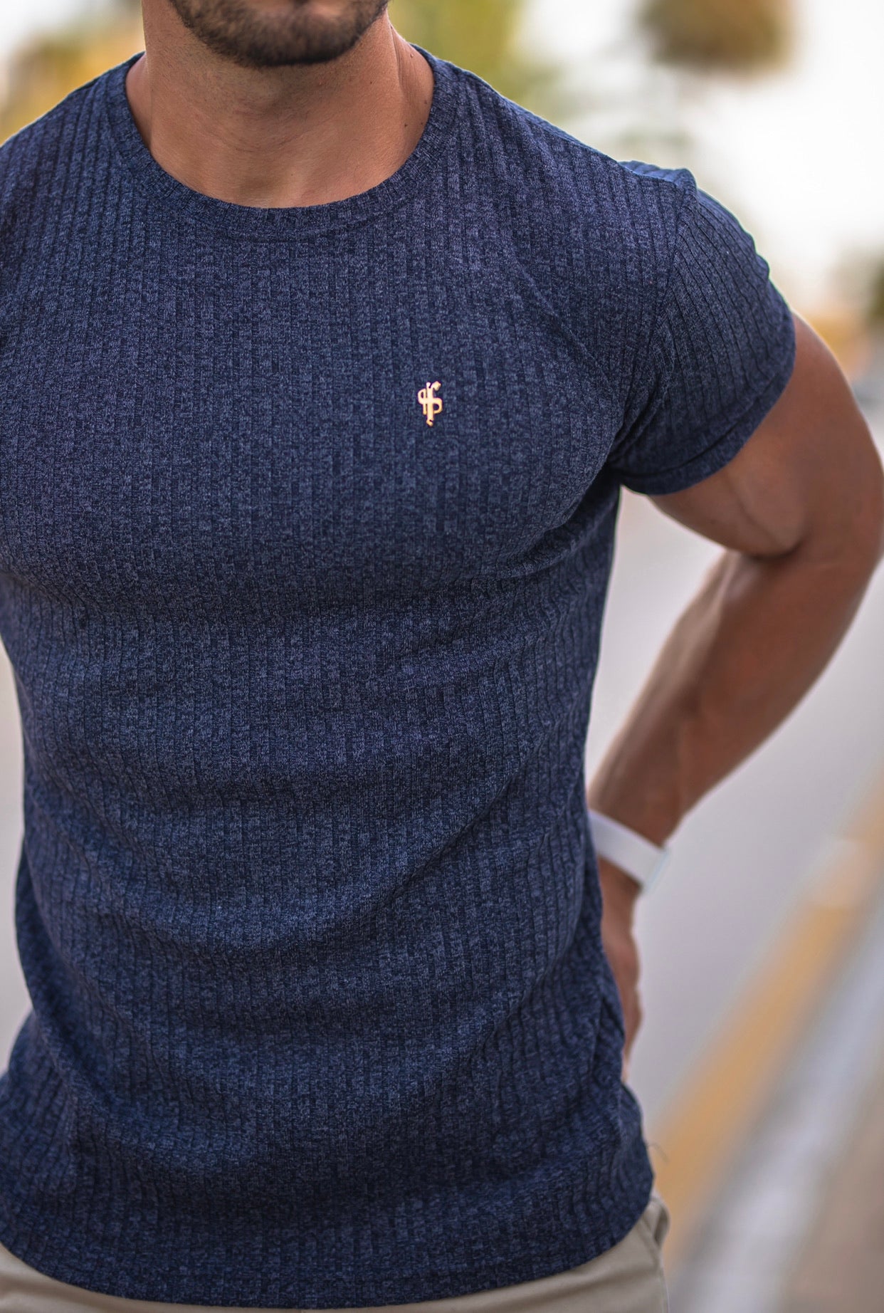 Classic Dark Navy Ribbed Crew Gold Metal Emblem - FSH505
