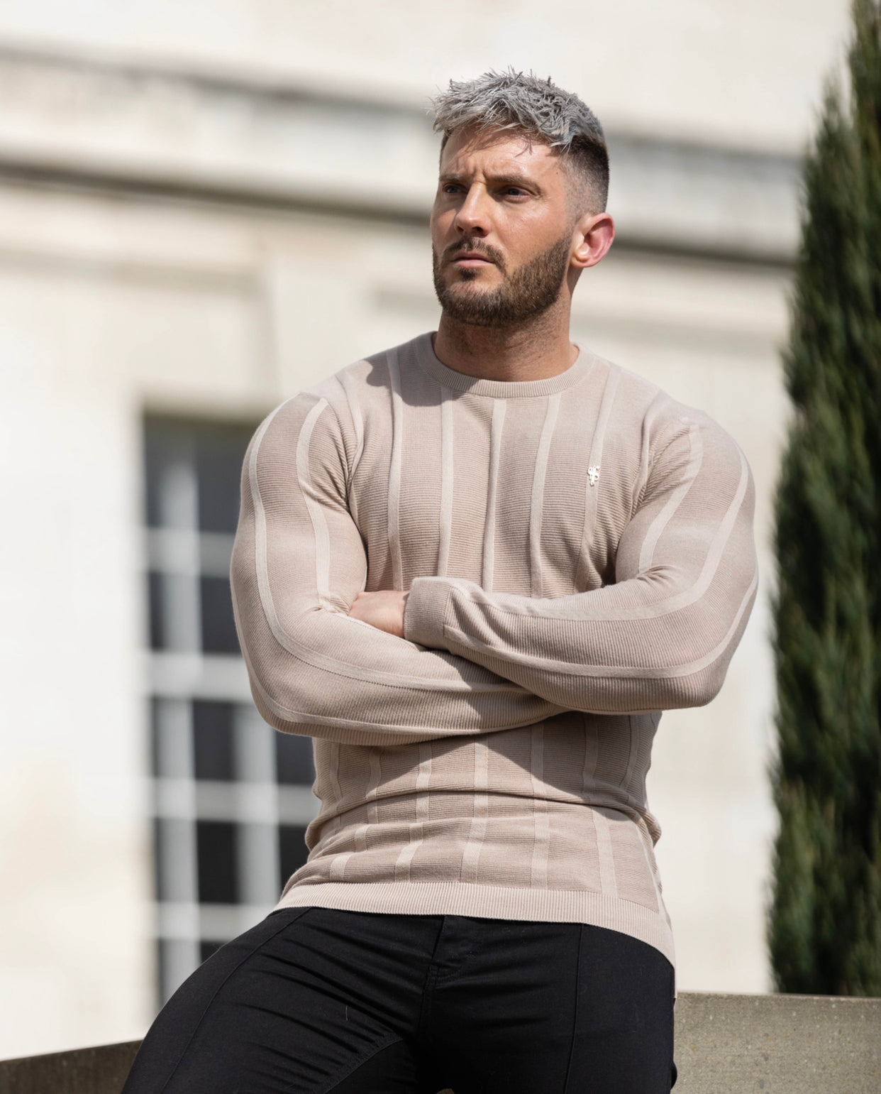 Classic Long Sleeve Oatmeal Knitted Wide Rib Crew with Gold Emblem - FSH740